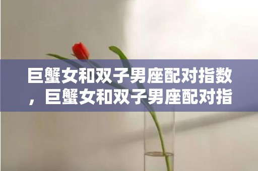 巨蟹女和双子男座配对指数，巨蟹女和双子男座配对指数大吗？