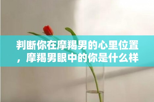 判断你在摩羯男的心里位置，摩羯男眼中的你是什么样的人？