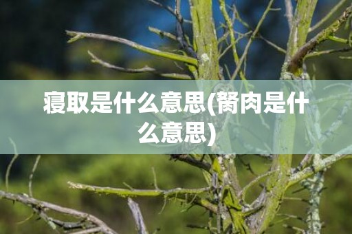 寝取是什么意思(胬肉是什么意思)
