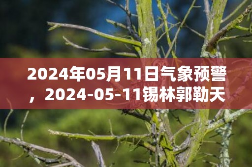 2024年05月11日气象预警，2024-05-11锡林郭勒天气预报 大部多云转晴