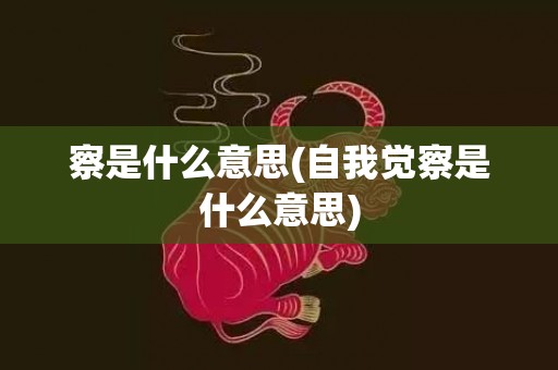察是什么意思(自我觉察是什么意思)