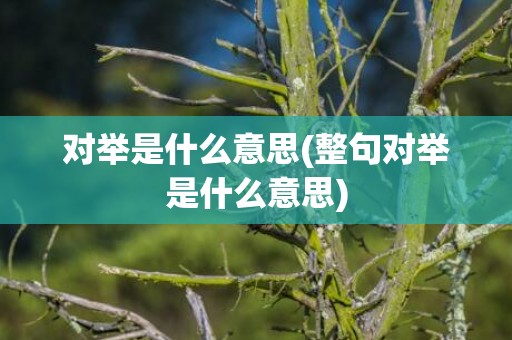 对举是什么意思(整句对举是什么意思)