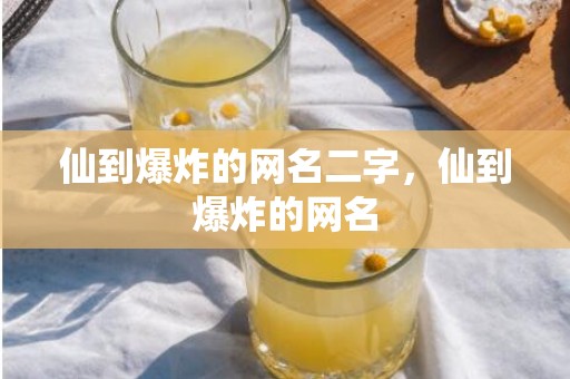 仙到爆炸的网名二字，仙到爆炸的网名