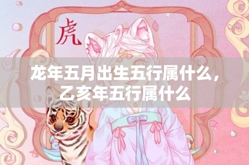 龙年五月出生五行属什么，乙亥年五行属什么