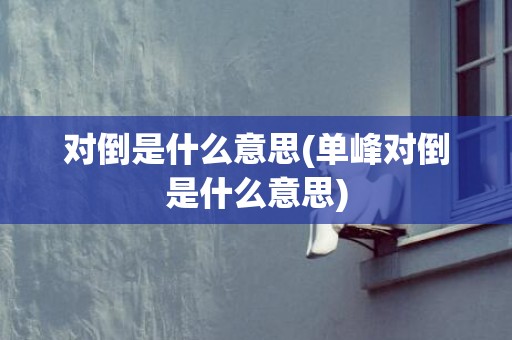 对倒是什么意思(单峰对倒是什么意思)