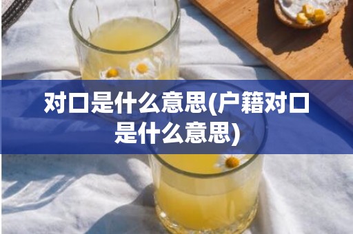 对口是什么意思(户籍对口是什么意思)