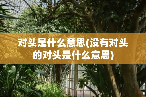 对头是什么意思(没有对头的对头是什么意思)
