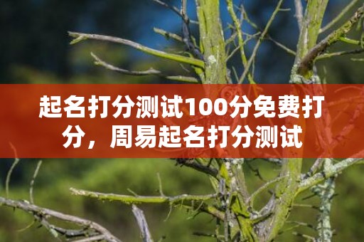 起名打分测试100分免费打分，周易起名打分测试