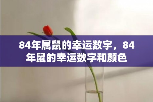 84年属鼠的幸运数字，84年鼠的幸运数字和颜色
