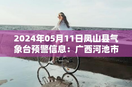 2024年05月11日凤山县气象台预警信息：广西河池市凤山县发布冰雹橙色预警