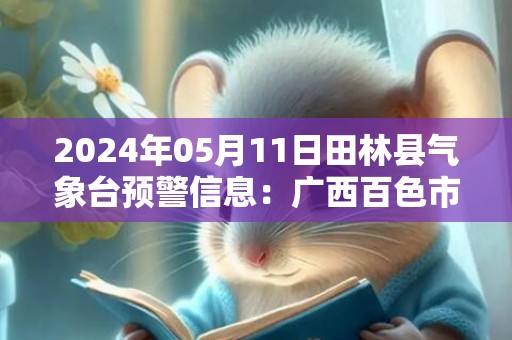 2024年05月11日田林县气象台预警信息：广西百色市田林县发布雷雨大风橙色预警