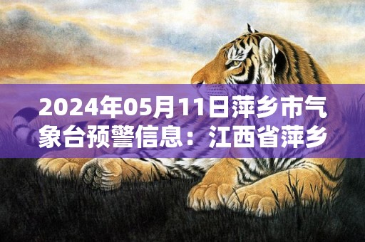 2024年05月11日萍乡市气象台预警信息：江西省萍乡市发布暴雨黄色预警