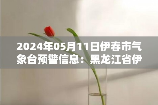 2024年05月11日伊春市气象台预警信息：黑龙江省伊春市发布大风蓝色预警