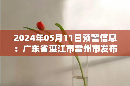 2024年05月11日预警信息：广东省湛江市雷州市发布暴雨橙色预警