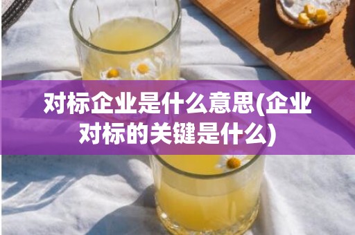 对标企业是什么意思(企业对标的关键是什么)