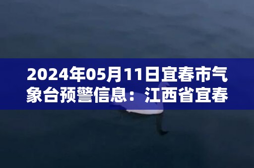 2024年05月11日宜春市气象台预警信息：江西省宜春市发布暴雨黄色预警
