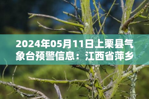2024年05月11日上栗县气象台预警信息：江西省萍乡市上栗县更新雷电橙色预警