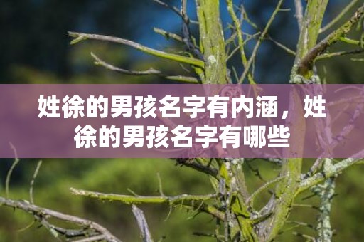 姓徐的男孩名字有内涵，姓徐的男孩名字有哪些