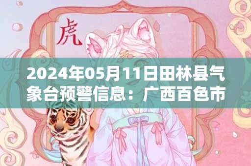 2024年05月11日田林县气象台预警信息：广西百色市田林县发布冰雹橙色预警