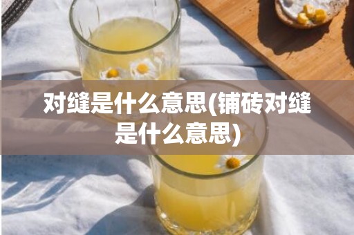 对缝是什么意思(铺砖对缝是什么意思)