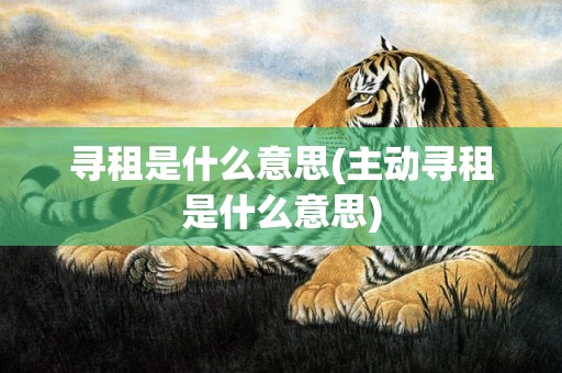 寻租是什么意思(主动寻租是什么意思)