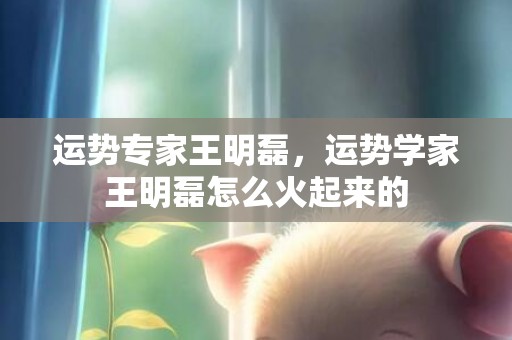 运势专家王明磊，运势学家王明磊怎么火起来的