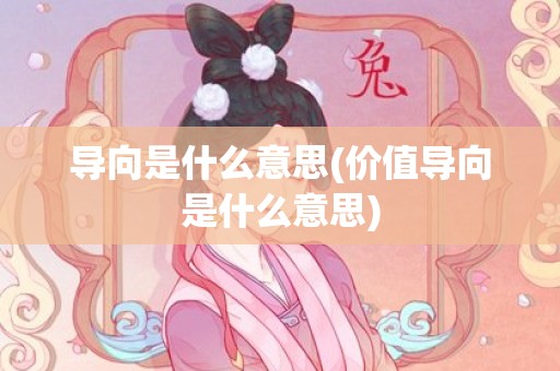 导向是什么意思(价值导向是什么意思)