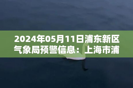 2024年05月11日浦东新区气象局预警信息：上海市浦东新区发布雷电黄色预警