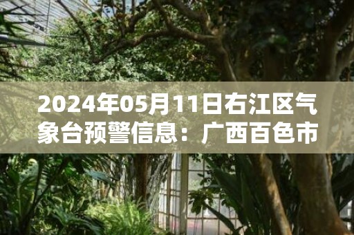 2024年05月11日右江区气象台预警信息：广西百色市右江区发布冰雹橙色预警