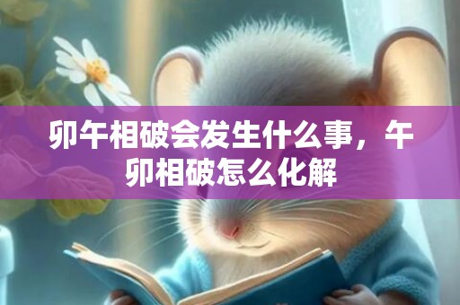 卯午相破会发生什么事，午卯相破怎么化解
