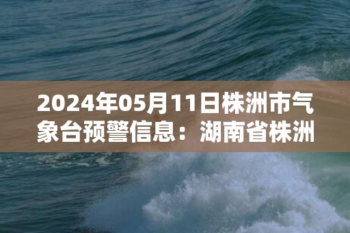 2024年05月11日株洲市气象台预警信息：湖南省株洲市发布暴雨黄色预警