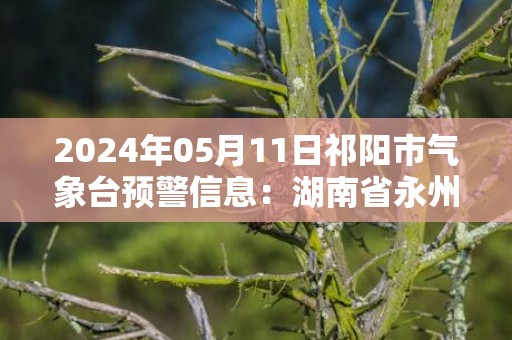 2024年05月11日祁阳市气象台预警信息：湖南省永州市祁阳县发布冰雹橙色预警
