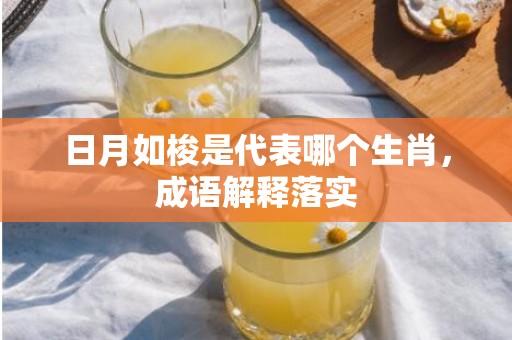 日月如梭是代表哪个生肖，成语解释落实