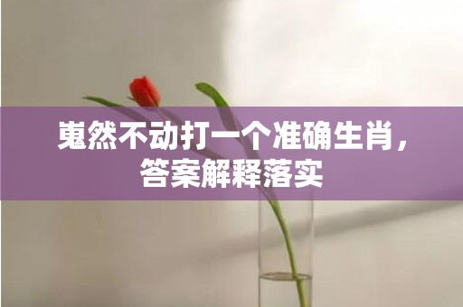 嵬然不动打一个准确生肖，答案解释落实