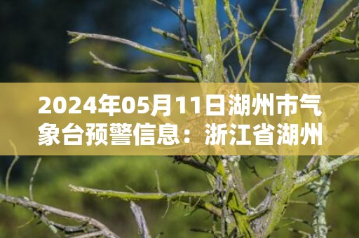 2024年05月11日湖州市气象台预警信息：浙江省湖州市发布雷电黄色预警