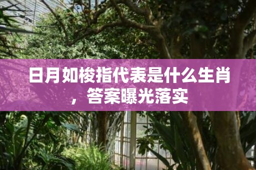 日月如梭指代表是什么生肖，答案曝光落实