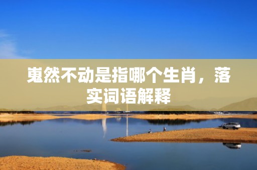 嵬然不动是指哪个生肖，落实词语解释