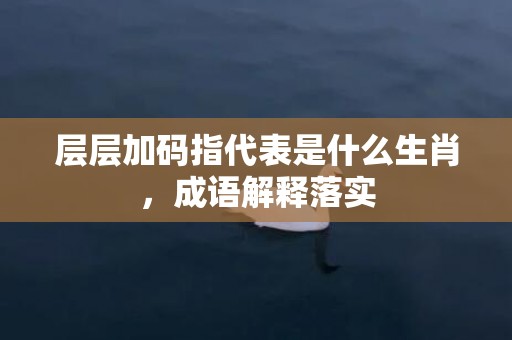 层层加码指代表是什么生肖，成语解释落实