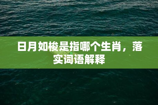 日月如梭是指哪个生肖，落实词语解释