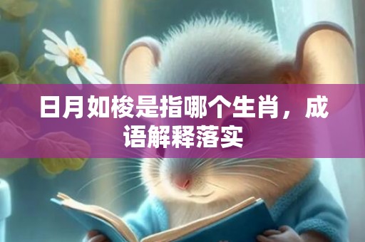 日月如梭是指哪个生肖，成语解释落实