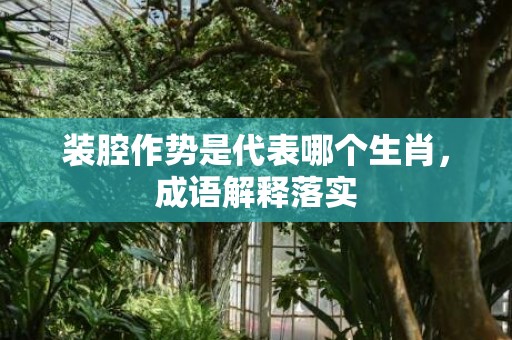 装腔作势是代表哪个生肖，成语解释落实