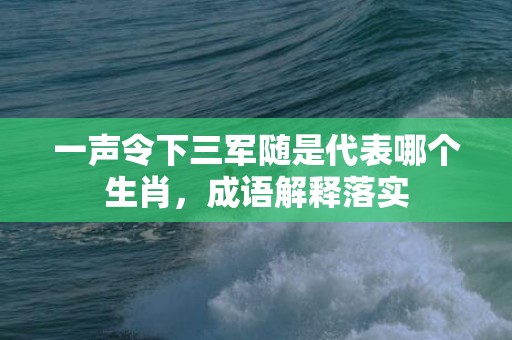 一声令下三军随是代表哪个生肖，成语解释落实