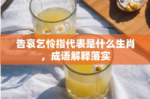 告哀乞怜指代表是什么生肖，成语解释落实