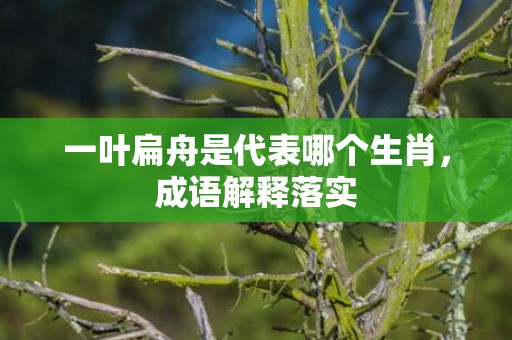 一叶扁舟是代表哪个生肖，成语解释落实