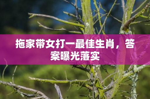 拖家带女打一最佳生肖，答案曝光落实
