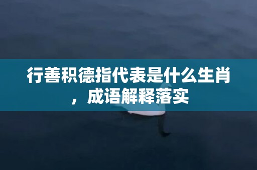 行善积德指代表是什么生肖，成语解释落实