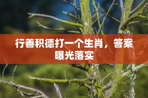 行善积德打一个生肖，答案曝光落实