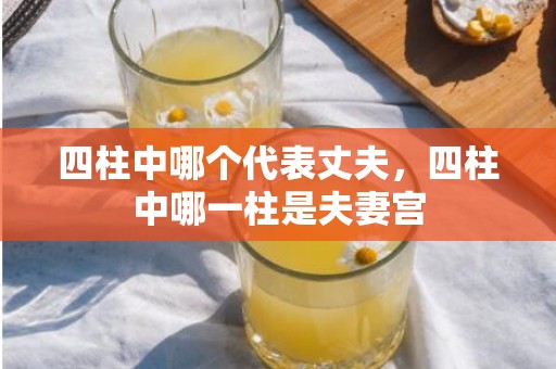 四柱中哪个代表丈夫，四柱中哪一柱是夫妻宫