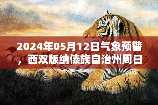 2024年05月12日气象预警，西双版纳傣族自治州周日天气预报 大部小雨