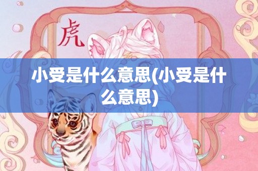 小受是什么意思(小受是什么意思)